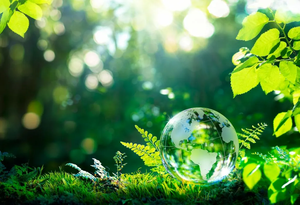 Eine gläserne Weltkugel liegt auf dem grünen Waldboden umgeben von Gräsern, Bäumen und Sträuchern.